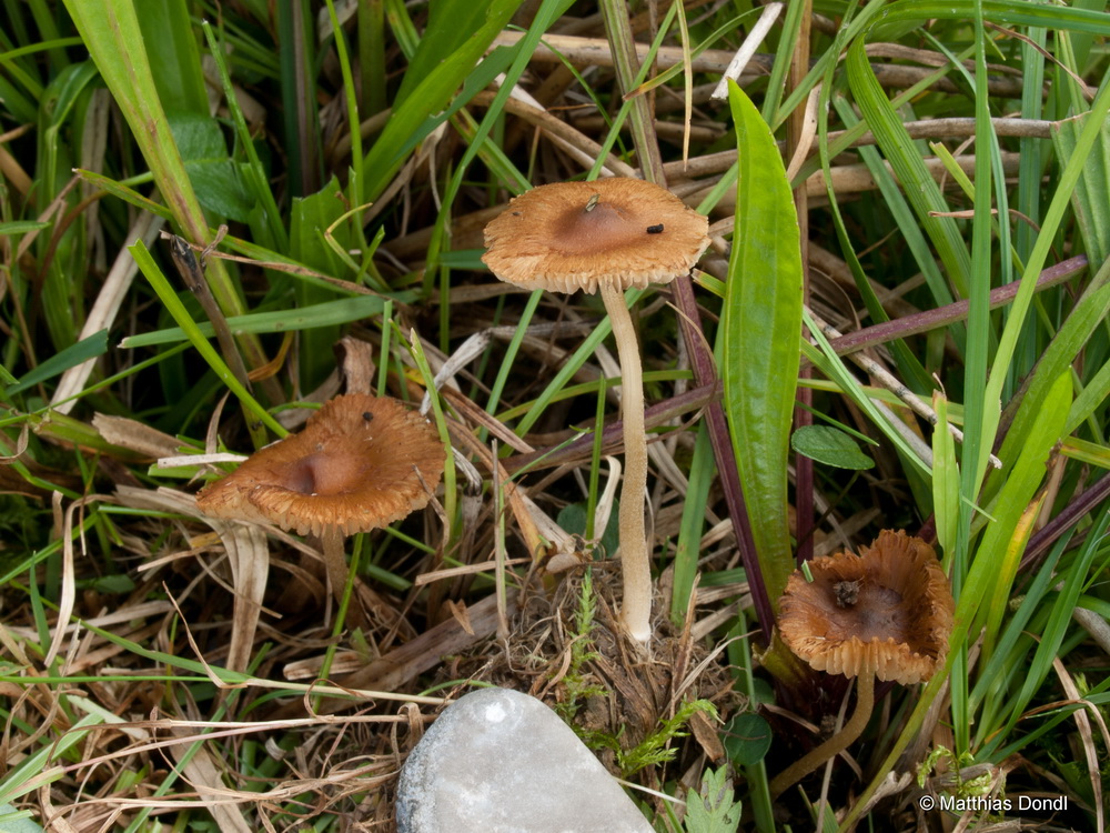 Foto Nr. 1
